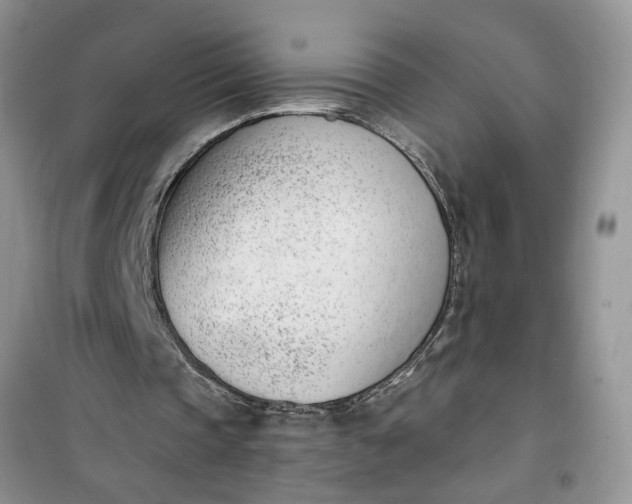 X0000100960337200807081247