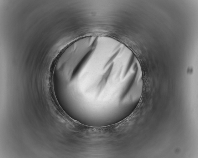 X0000100960338200807081247