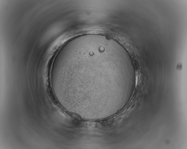 X0000100960339200807081247