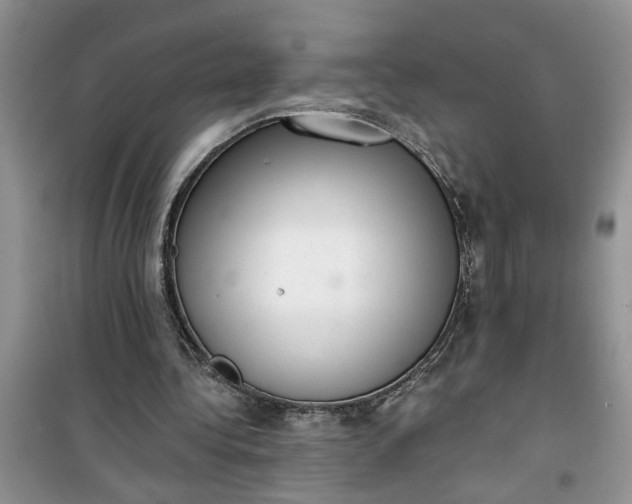 X0000100960340200807081247