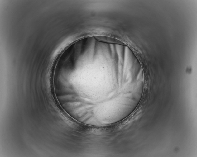 X0000100960341200807081247