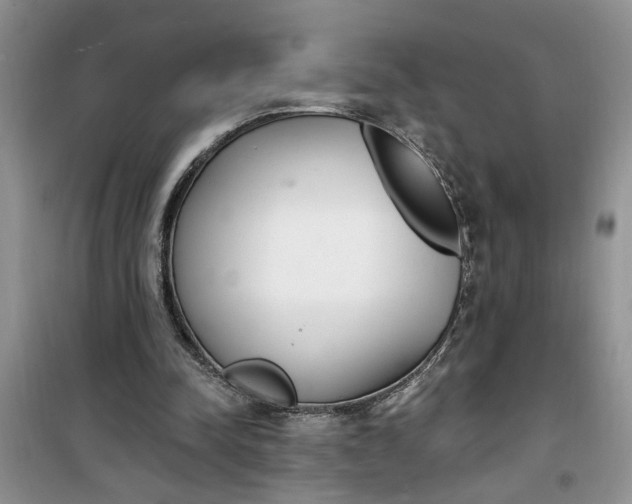 X0000100960342200807081247