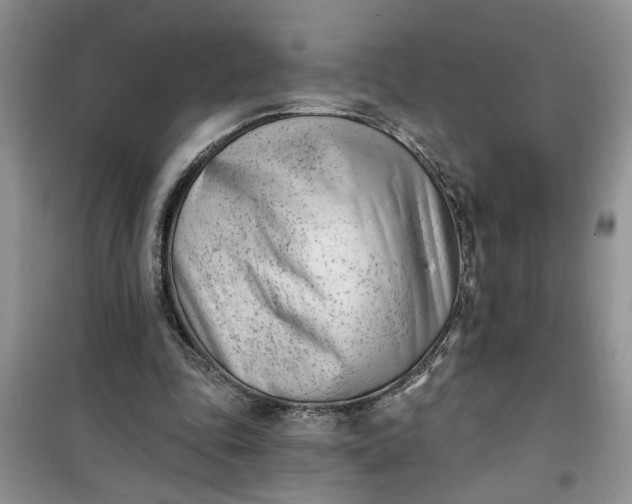 X0000100960343200807081247