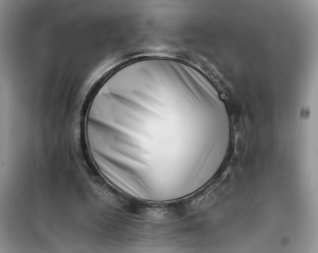 X0000100960344200807081247