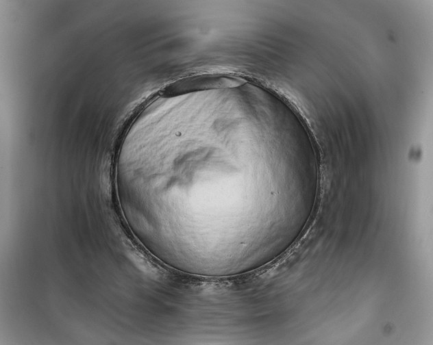 X0000100960345200807081247