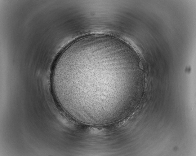 X0000100960346200807081247