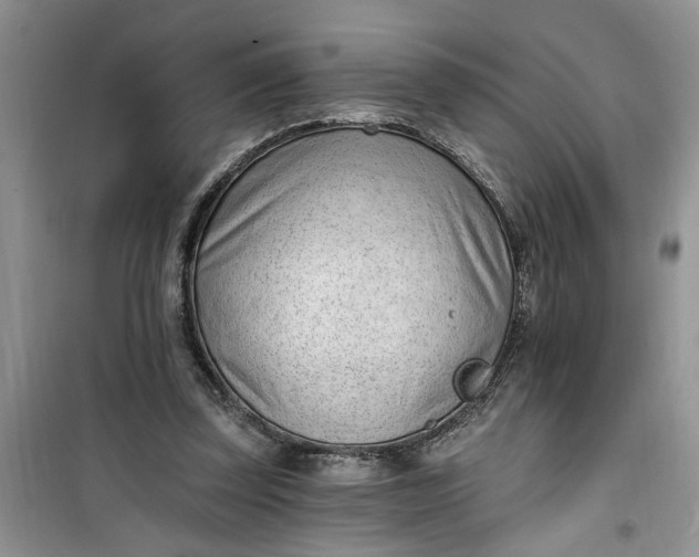 X0000100960347200807081247