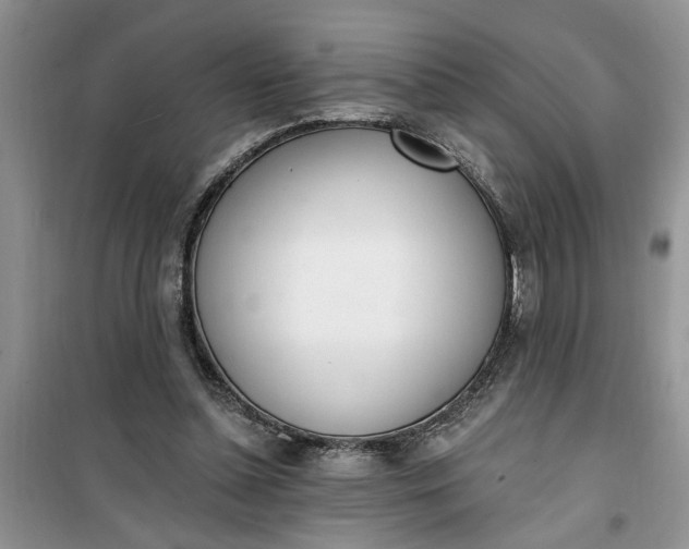 X0000100960348200807081247