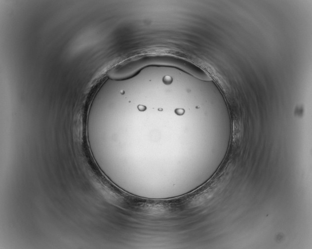 X0000100960349200807081247