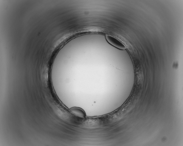 X0000100960350200807081247