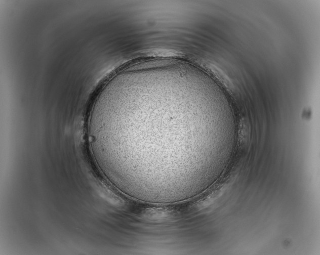 X0000100960351200807081247