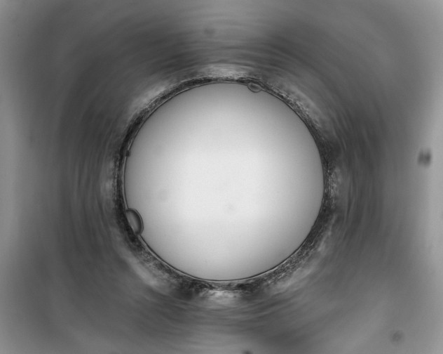 X0000100960352200807081247