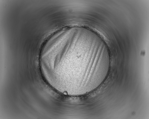 X0000100960353200807081247