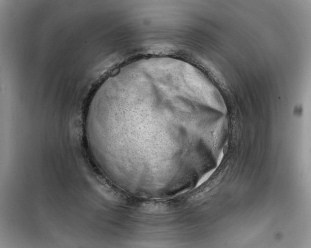 X0000100960354200807081247