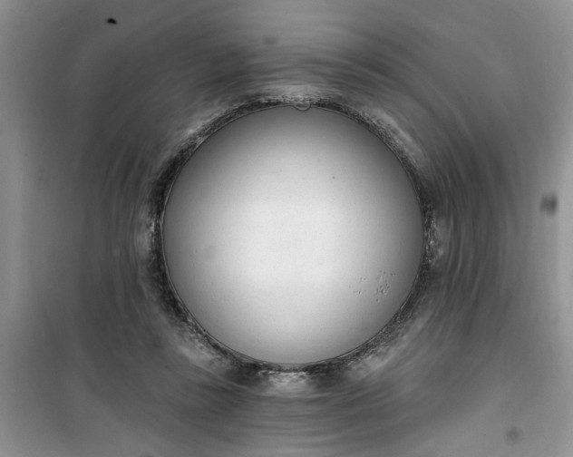 X0000100960355200807081247