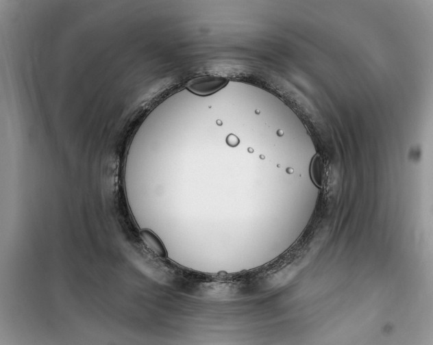 X0000100960356200807081247