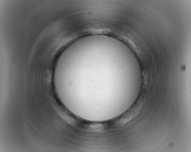 X0000100960357200807081247