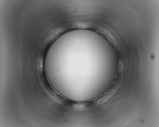 X0000100960358200807081247