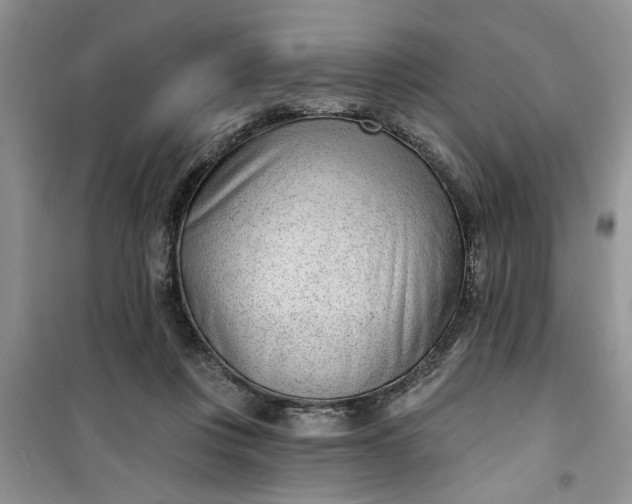 X0000100960359200807081247