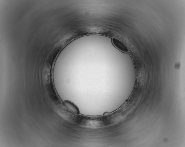 X0000100960360200807081247