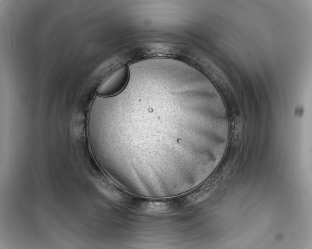 X0000100960361200807081247