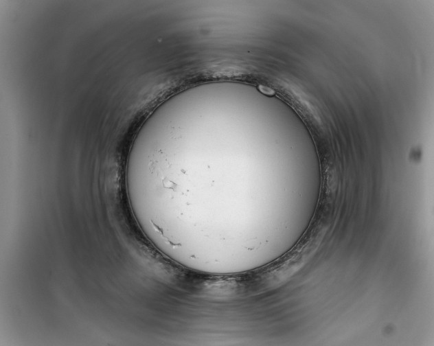 X0000100960362200807081247