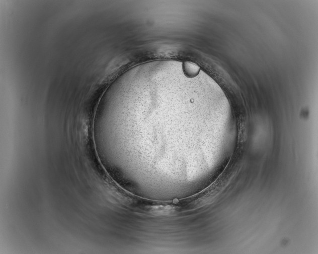 X0000100960363200807081247