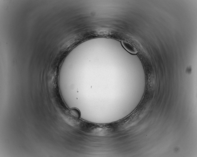 X0000100960364200807081247