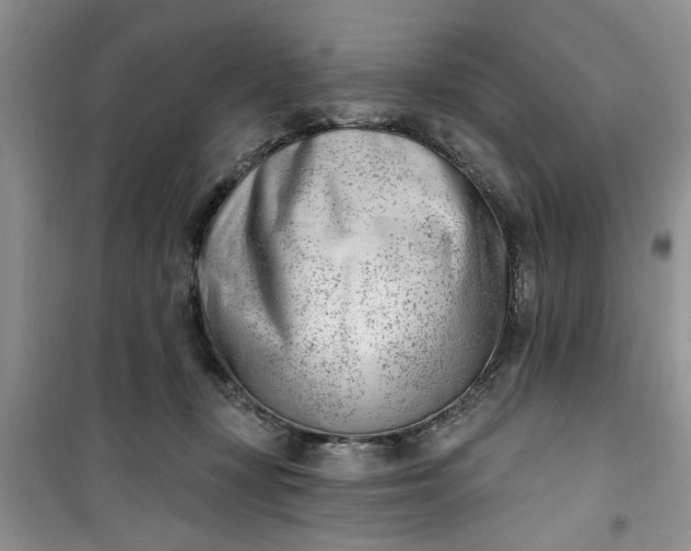 X0000100960367200807081247