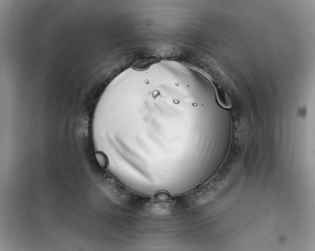 X0000100960368200807081247