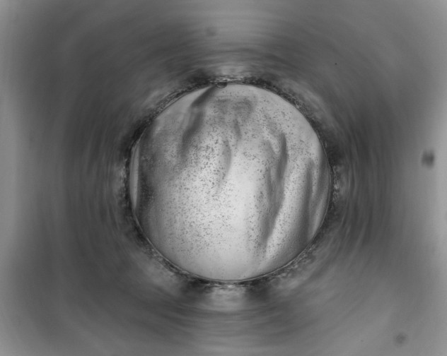 X0000100960369200807081247