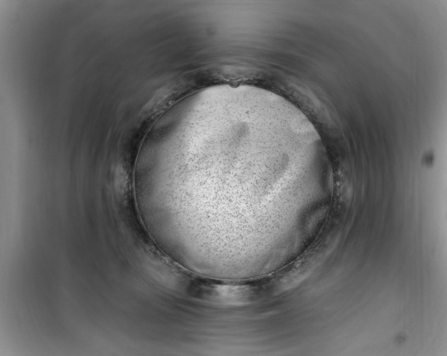 X0000100960371200807081247