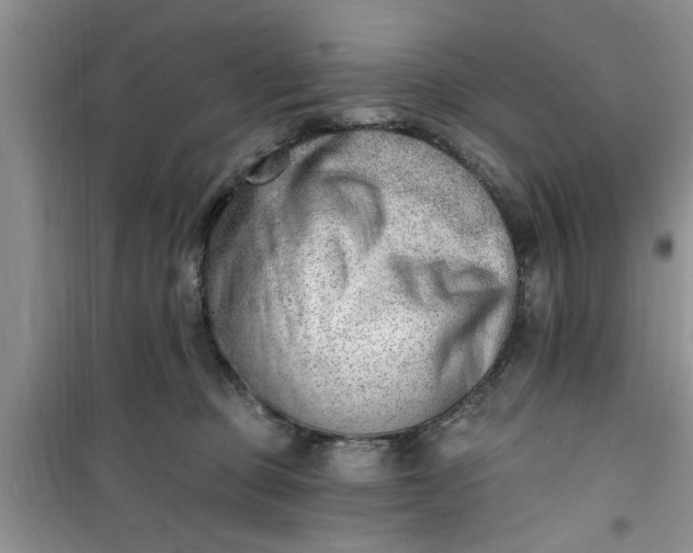 X0000100960373200807081247