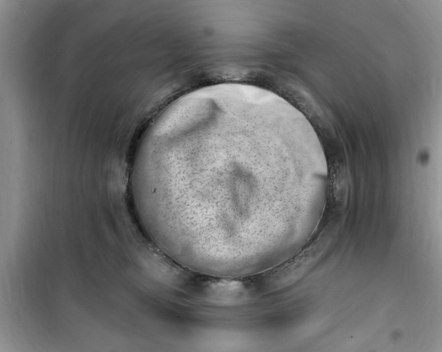 X0000100960374200807081247