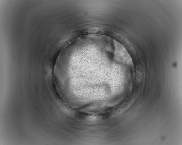 X0000100960375200807081247