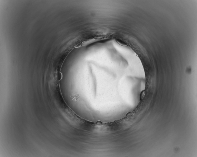 X0000100960376200807081247