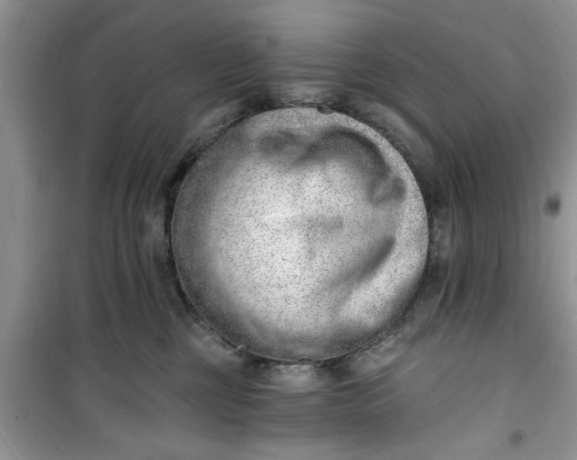 X0000100960377200807081247