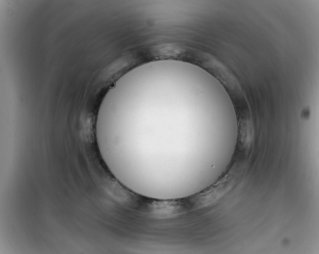 X0000100960378200807081247