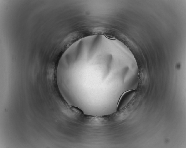 X0000100960379200807081247