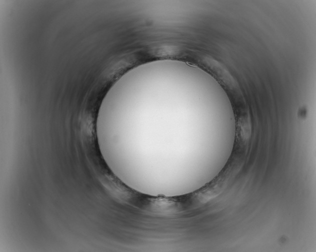 X0000100960380200807081247