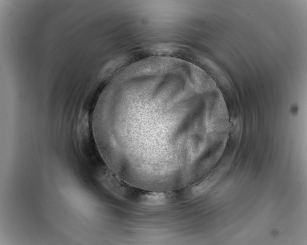 X0000100960381200807081247