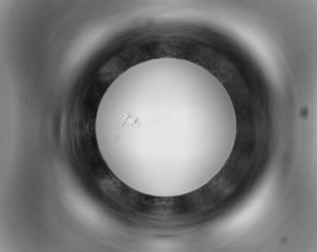 X0000100960382200807081247