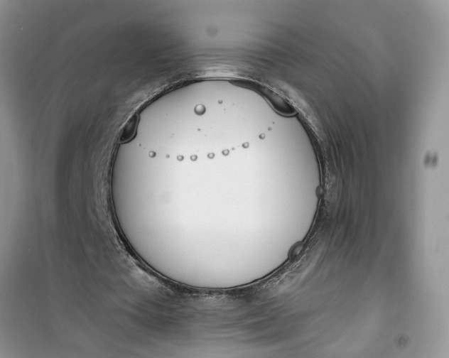 X0000100960385200807081247