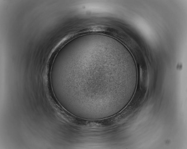 X0000100960387200807081246