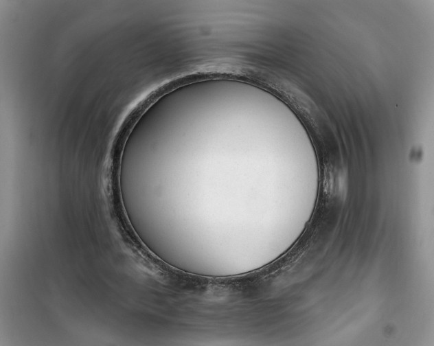 X0000100960388200807081246