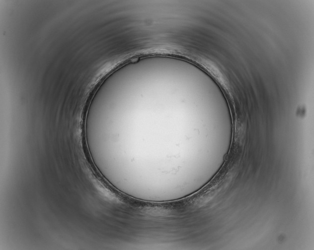 X0000100960389200807081246