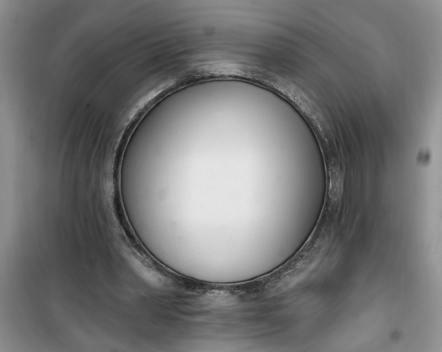 X0000100960390200807081246