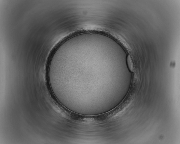 X0000100960391200807081246