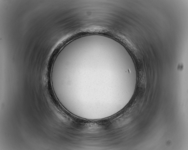 X0000100960392200807081246