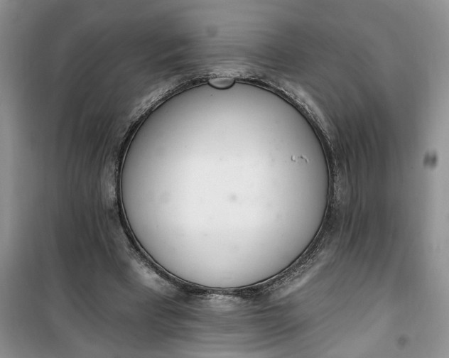 X0000100960393200807081246